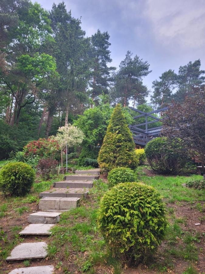 Villa Zacisze Huta Huta  Esterno foto